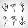 Ink style  sketch set - spring flowers