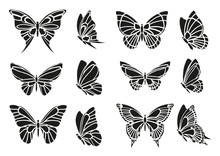 Set Of Black Butterflies Stencils
