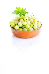 Wall Mural - gooseberry