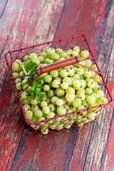 Wall Mural - gooseberry