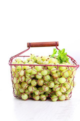 Wall Mural - gooseberry