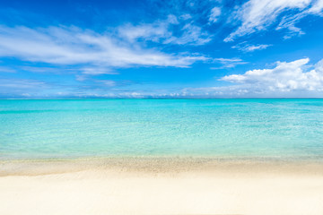 Wall Mural - weißer strand und blaues meer auf den malediven