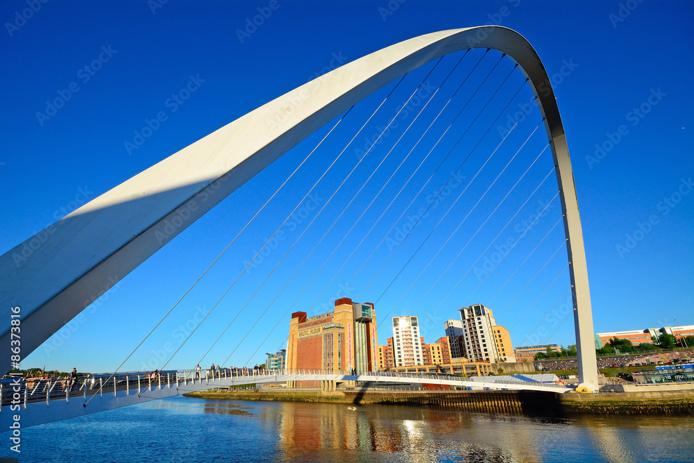 Bridge on Tyne River, Newcastle, England - obrazy, fototapety, plakaty 