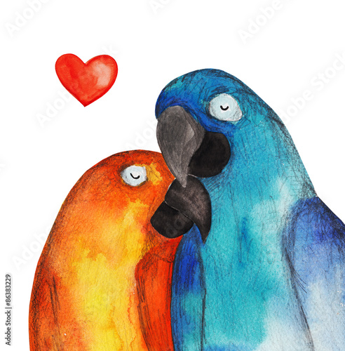 Naklejka ścienna Parrots. Heart. Watercolor