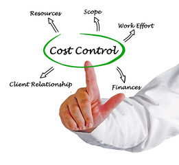 Canvas Print - Diagram of Cost Control