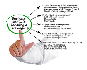 Canvas Print - Business Analysis Planning and Managing