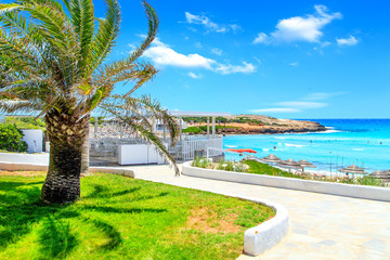 Wall Mural - A view of a azzure water and entrance to the beach with palms