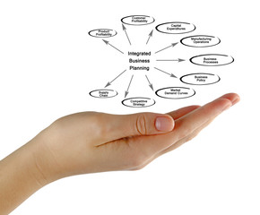 Sticker - Diagram of Integrated Business Planning