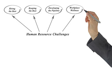 Poster - Human Resource Challenges