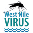 West Nile Virus disease, mosquito, standing water, graphic illustration 