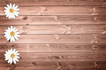 Wall Mural - wood planks background with daisies