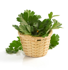 Canvas Print - fresh parsley isolated on white