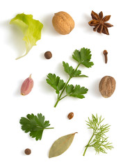 Sticker - herbs and spices isolated on white