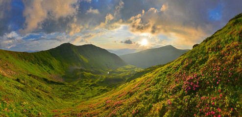 Mountains and flowers