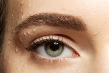Close-up Eye With Black Eyelashes And Brown Eyebrows With Water Drops