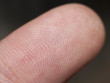 Fingertip