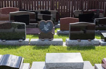 Horizontal Image Of A Group Of Newly Made Headstones Sitting In Front Of A Brown Fence In The Summer Time.