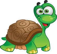 Turtles On Wall Free Stock Photo Public Domain Pictures