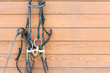 Horse bridle with decoration hanging on stable wooden wall. Clos