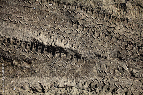 Cuadros en Lienzo tire tracks on the dirt protector