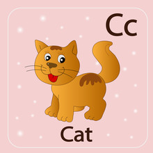 English Letters C And Red Cat.