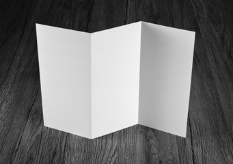 blank white folding paper flyer