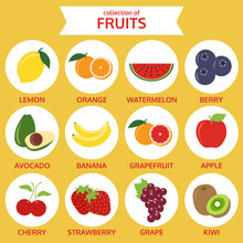 Collections Of Fruits Icon, Food Vector Illustration