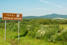 Touristic Sign Of Famous Tokaj Wine Region, Hungary