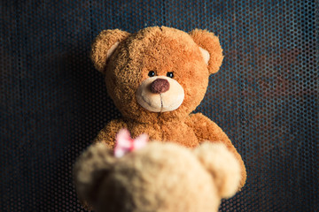 Wall Mural - teddy bears