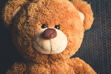 Wall Mural - teddy bears