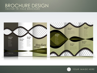 vector brochure layout design template