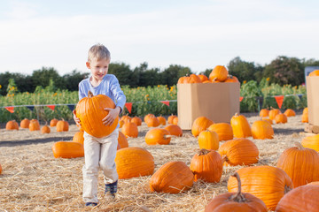 Canvas Print - pumpkin patch