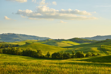 tuscany hills