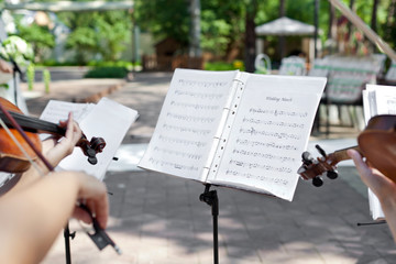 Violinist on wedding ceremony