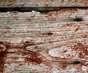 Wall Mural - old wood weathered