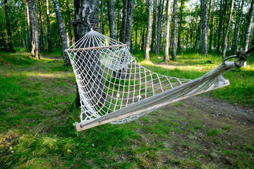  hammock strung between two birch trees in the forest