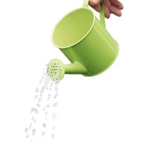 Watering Can, Watering, Growth.