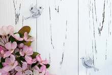 Spring Apple Blossom With Pair Birds On Old Vintage Wooden Background