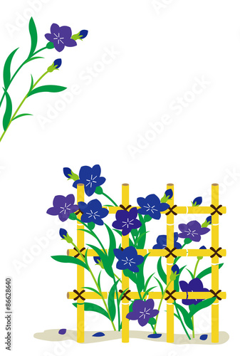 キキョウの花と竹の柵の和風イラスト Stock Illustration Adobe Stock キキョウの花と竹の柵の和風イラスト Stock Illustration Adobe Stock