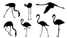 Flamingo Silhouettes