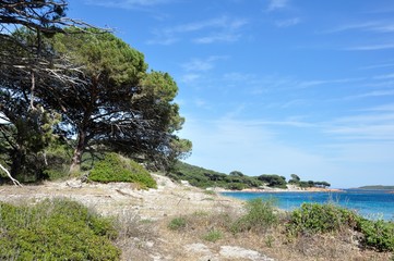 Sticker - plage de corse du sud