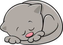 Sleeping Kitten Cartoon Illustration