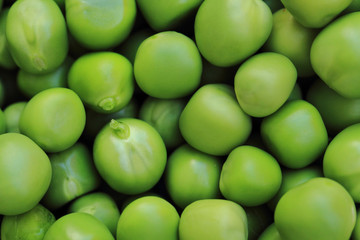 Canvas Print - green pea background