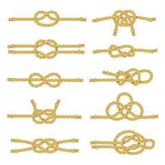 Wall Mural - Rope Knot Decorative Icon Set