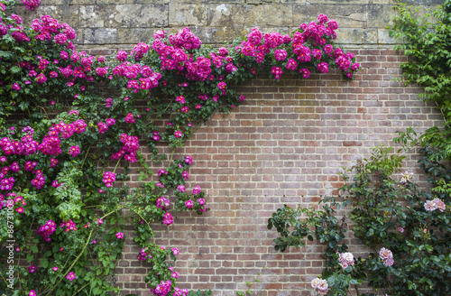 Tapeta ścienna na wymiar Hever Castle Gardens