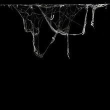 Cobweb Or Spider Web In Ancient Thai House Isolated On Black Background And Copy Space