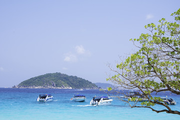 Wall Mural - Sea and island with boat background