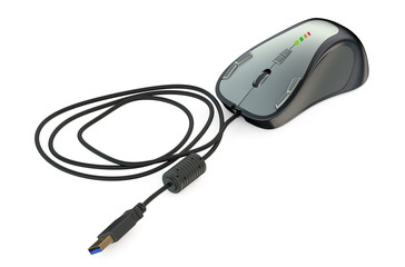 Computer Mouse