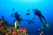 Scuba diving on coral reef underwater with fish