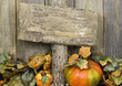 Blank rustic sign with fall foliage and pumpkins